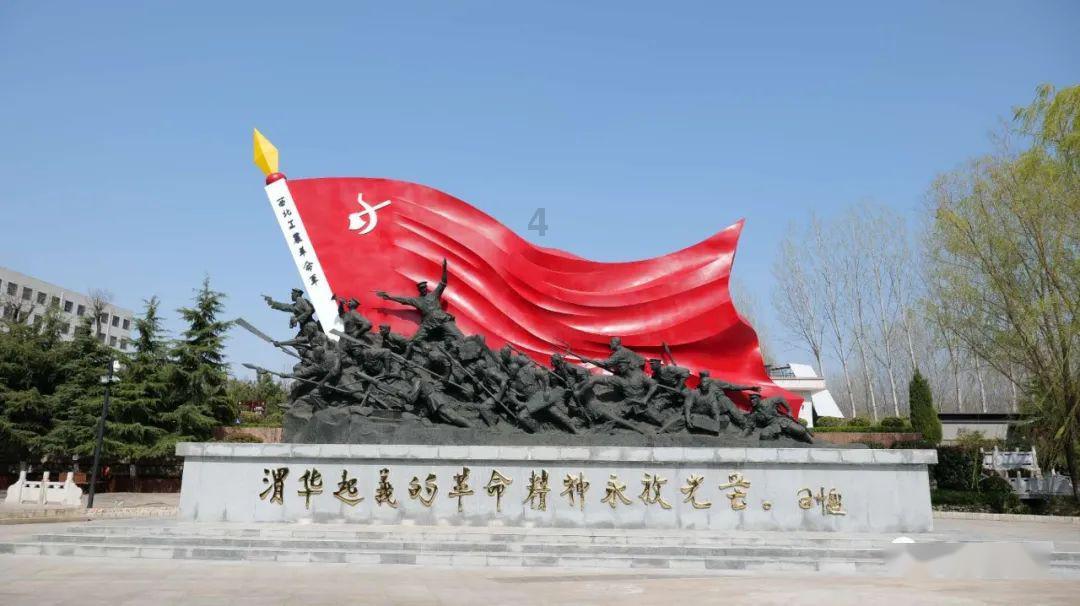 可爱的小孔雀救援
